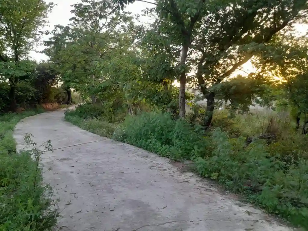 WhatsApp-Image-2024-05-06-at-17.06.54_46316b86-2-1024x768