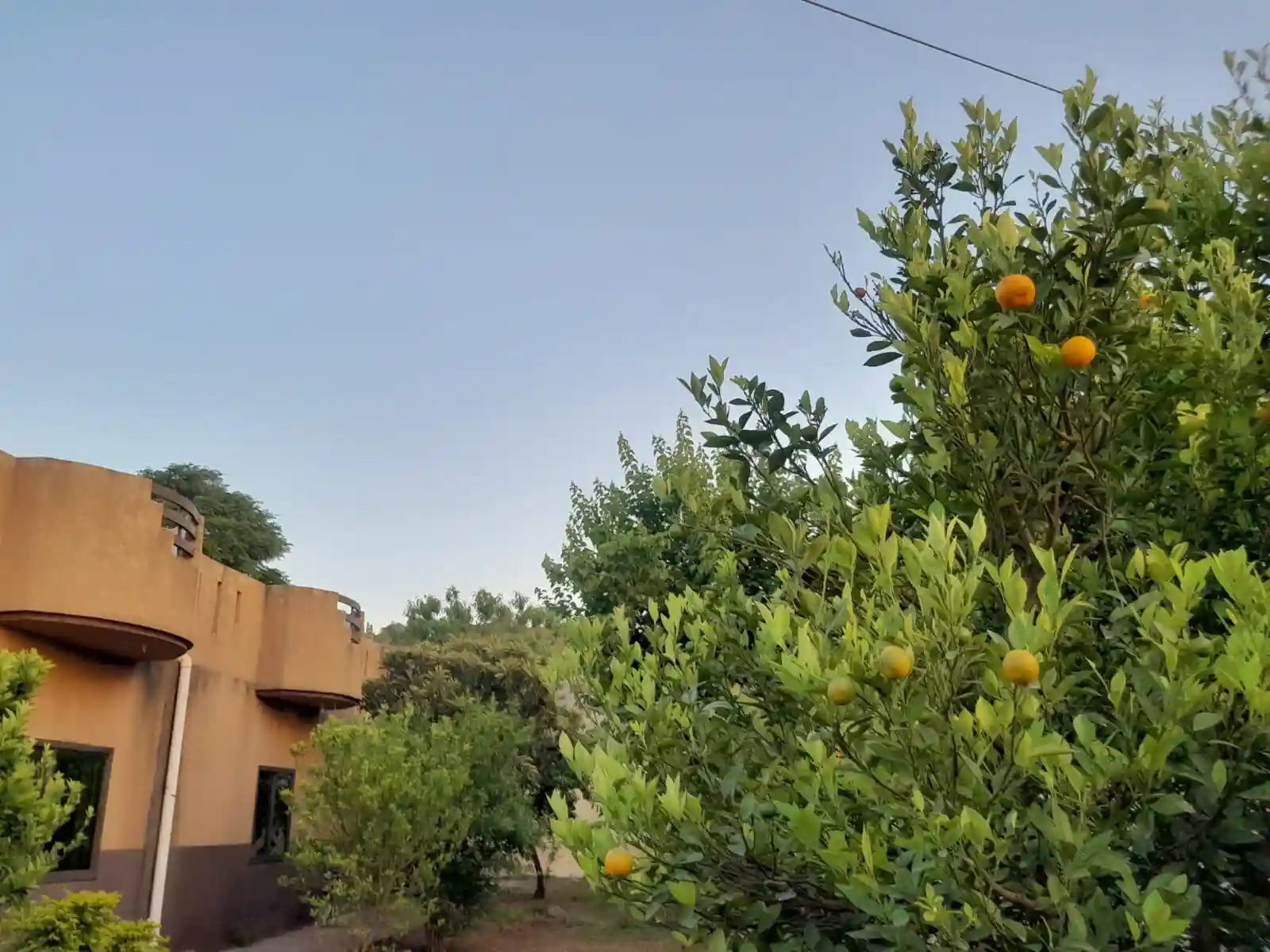 WhatsApp-Image-2024-05-06-at-17.06.54_e37edb62-2